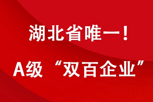 FB体育·(中国区)官方网站 -APP下载